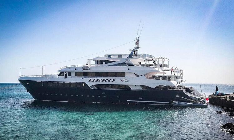 Elegante new safari yacht for sale